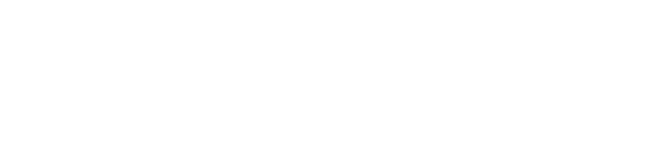 Dive Safe Systems